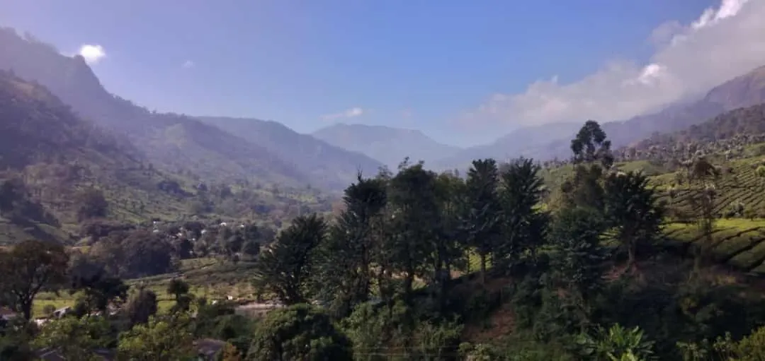 Munnar Home Stay Ubytování v soukromí