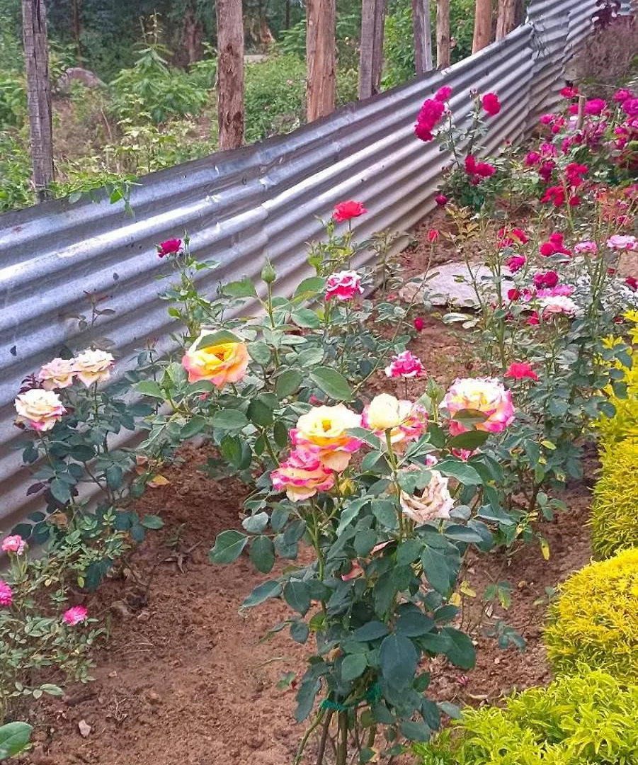Munnar Home Stay