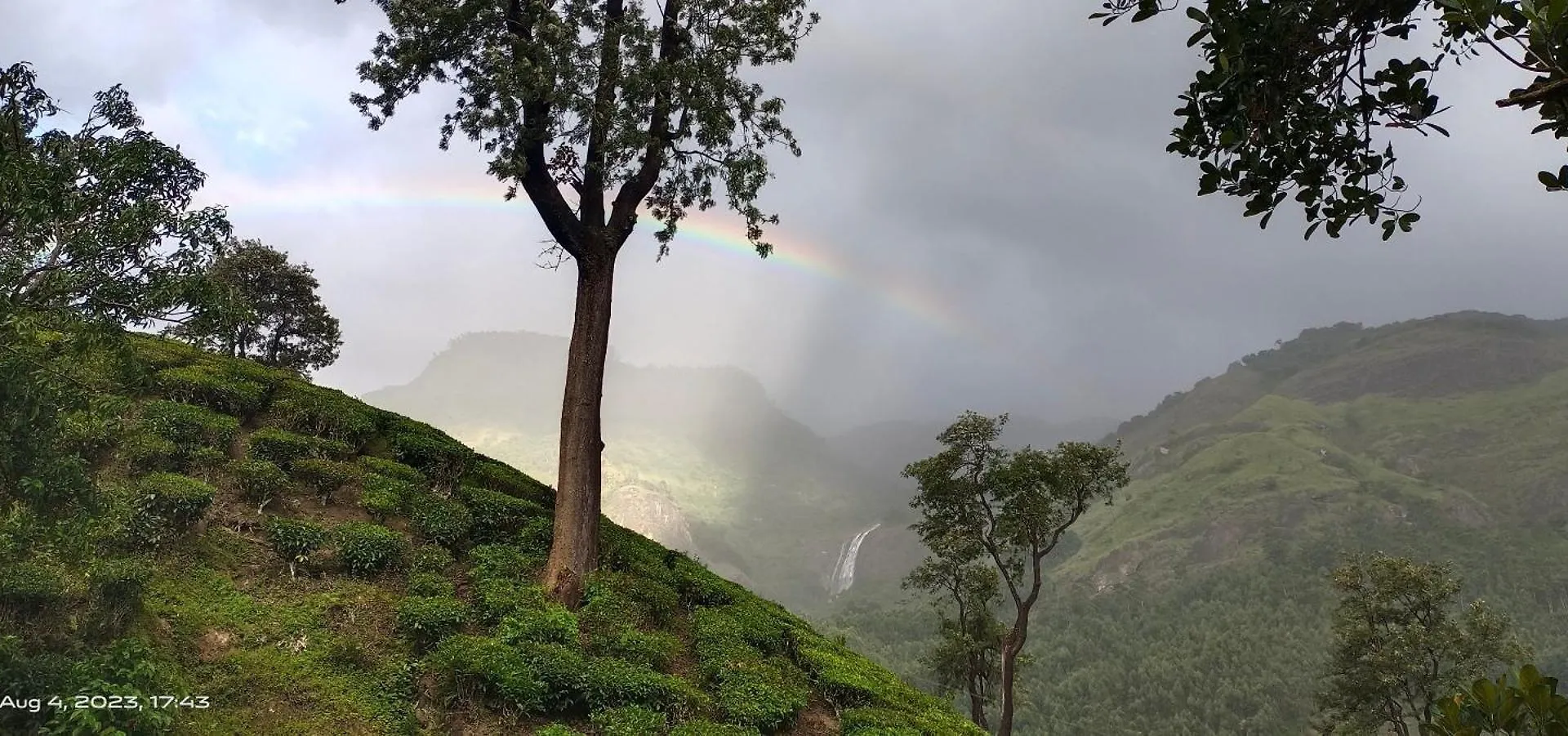 Ubytování v soukromí Munnar Home Stay